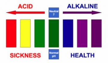 Acid-Alkaline Charts
